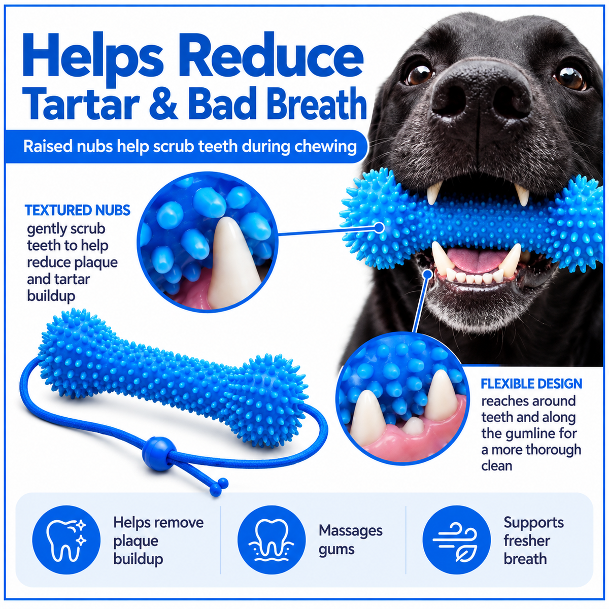 Adjustable fit for small, medium and large dogs