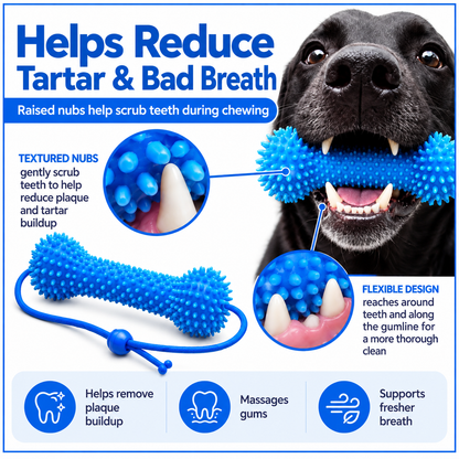 Adjustable fit for small, medium and large dogs